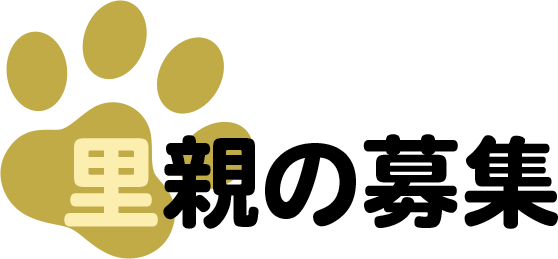 里親の募集