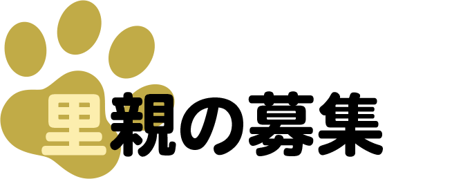 里親の募集