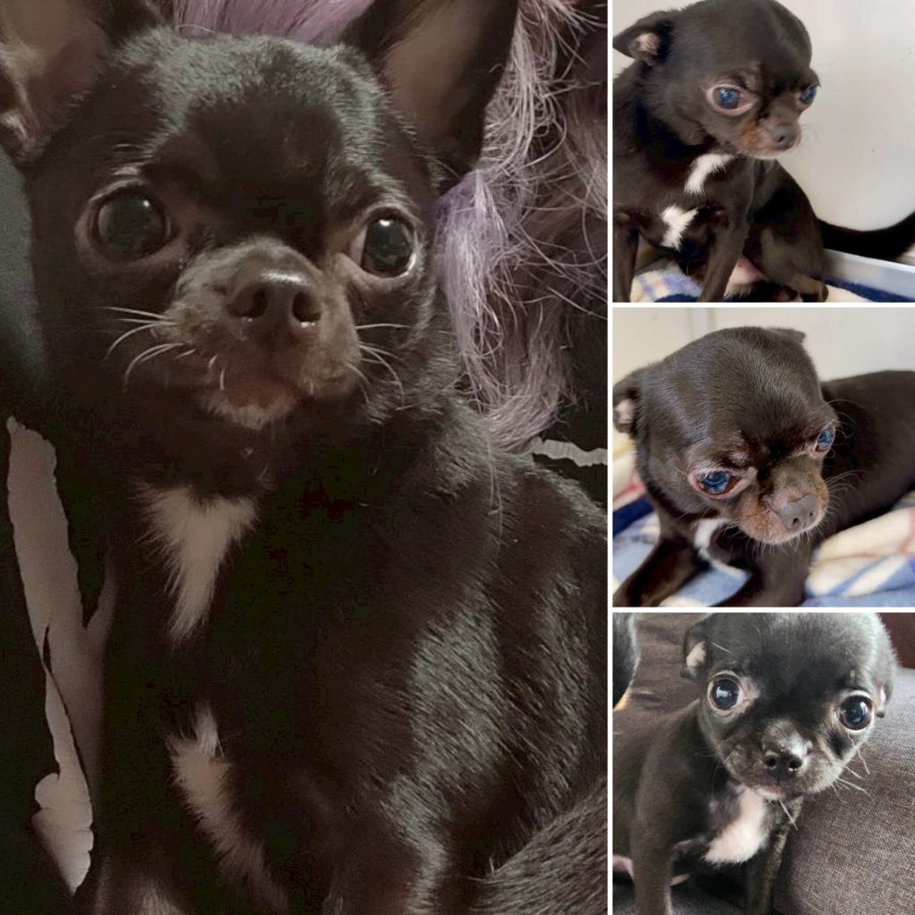 ご家族決まりました